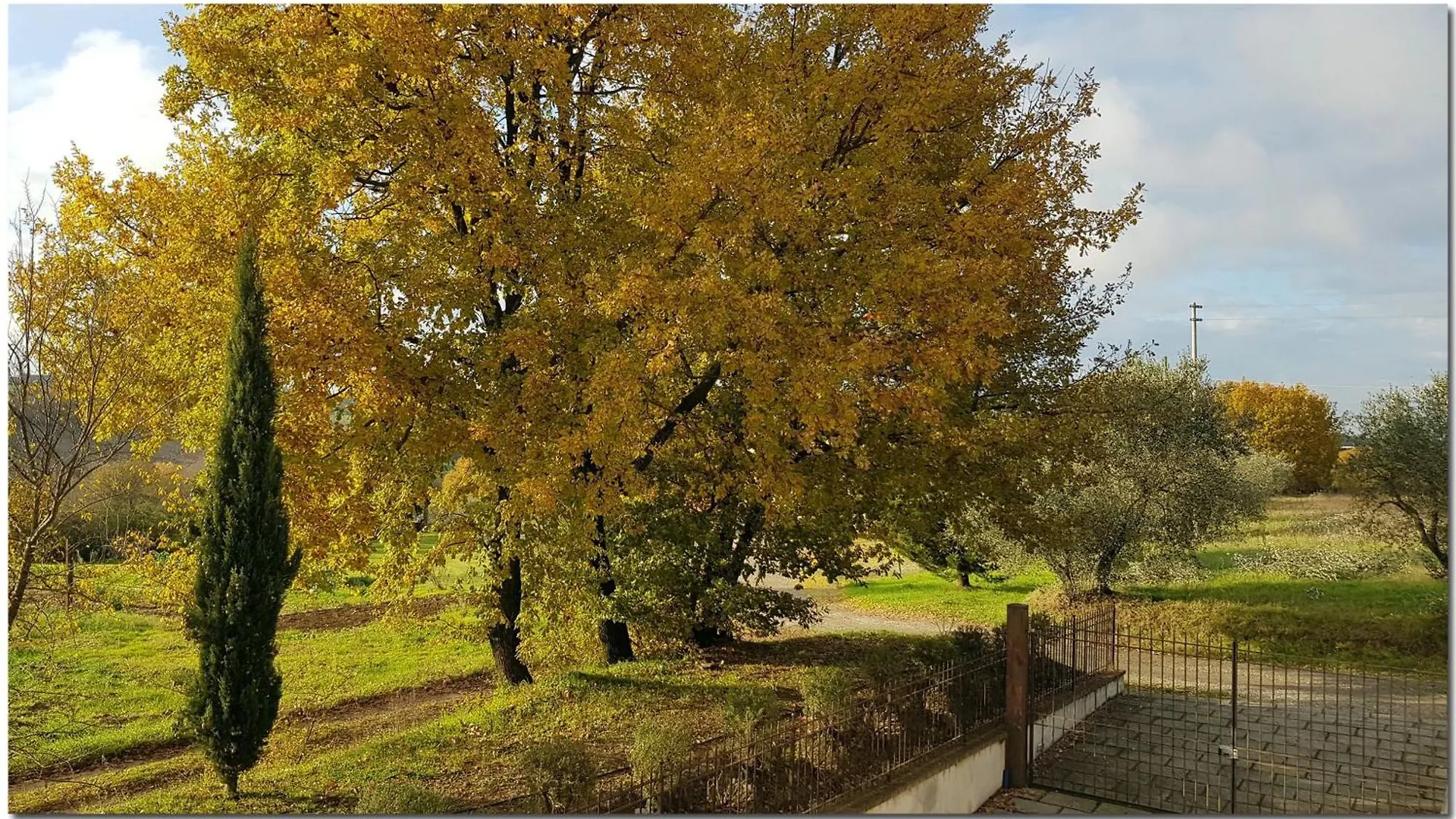 Ebenerdiges Ferienhaus Mit Garten Und Pool Cortona